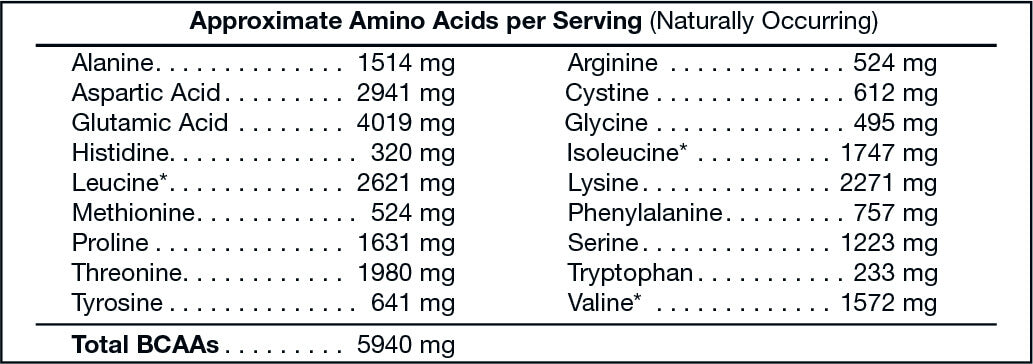 Brolic Protein Whey Isolate Vanilla