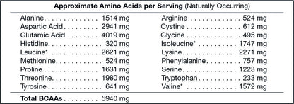 Brolic Protein Whey Isolate Vanilla